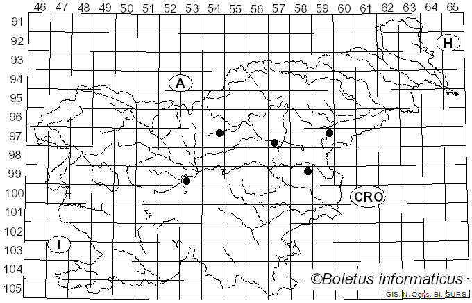 <i>Hygrophoropsis rufescens</i> Singer (1986)