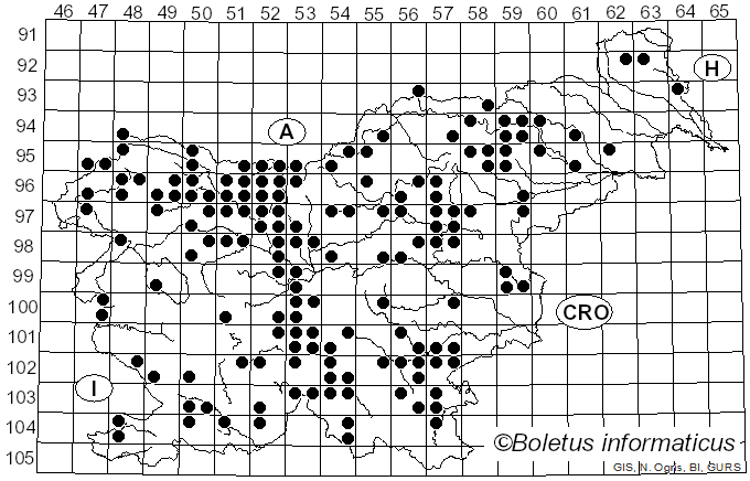 <i>Guepinia helvelloides</i> (DC.) Fr. (1828)