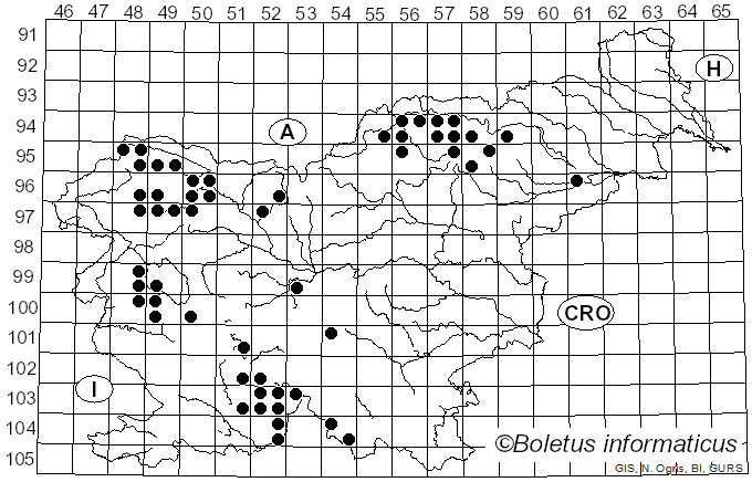 <i>Candelariella</i> Müll. Arg. (1894)