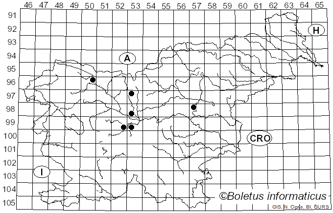 <i>Ovularia farinosa</i> (Bonord.) Sacc. (1886)