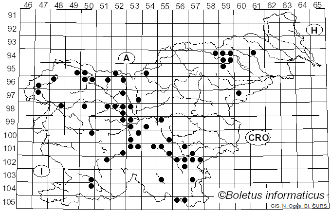 <i>Tubifera ferruginosa</i> (Batsch) J.F. Gmel. (1792)
