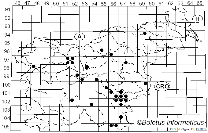 <i>Lactarius quieticolor</i> Romagn. (1958)