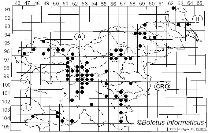 <i>Rhizopogon</i> Fr. (1817)