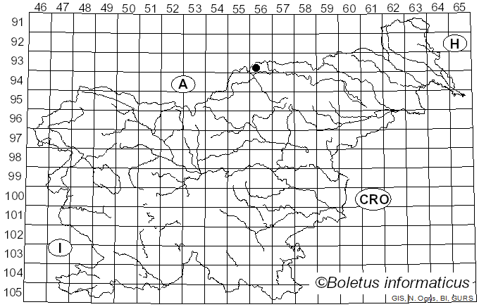 <i>Crypturgus</i> Erichson (1836)