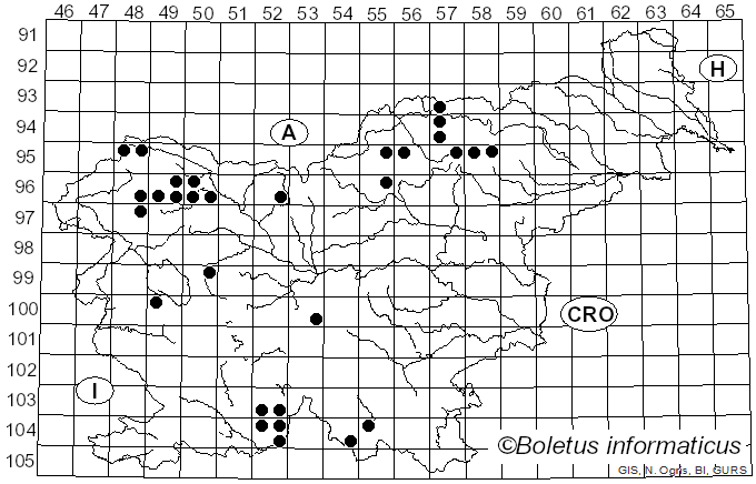 <i>Chaenotheca</i> (Th. Fr.) Th. Fr. (1860)