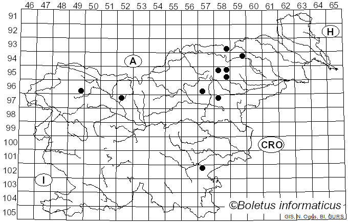 <i>Cortinarius chrysolitus</i> Kauffman (1915)