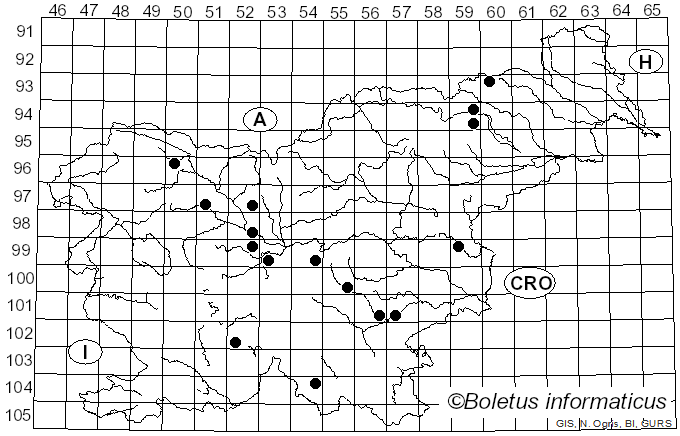 <i>Paralepista gilva</i> (Pers.) Raithelh. (1996)