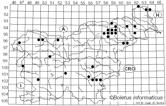 <i>Pseudosperma</i> Matheny & Esteve-Rav. (2019)