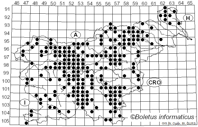 <i>Gomphidius glutinosus</i> (Schaeff.) Fr. (1838)