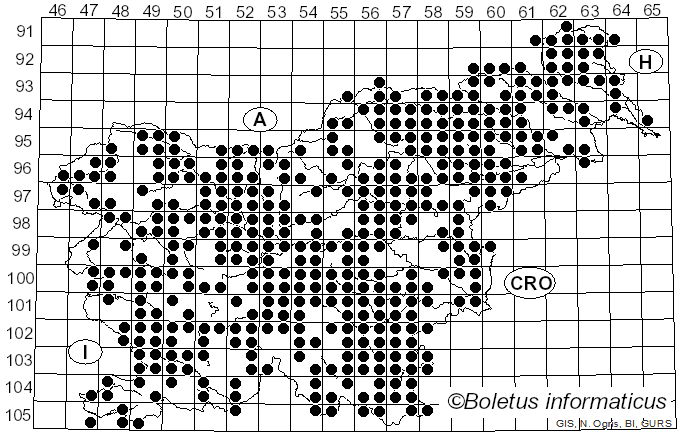 <i>Trametes</i> Fr. (1836)