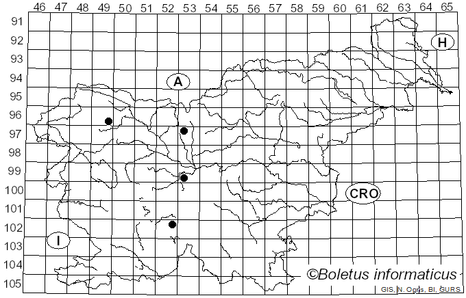 <i>Phragmidium potentillae</i> (Pers.) P. Karst. (1879)