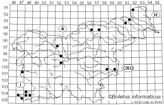 <i>Stigmella aceris</i> Frey (1857)