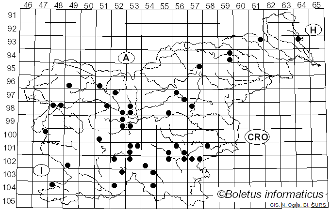 <i>Inocybe pyriodora</i> (Pers.) P. Kumm. (1871)