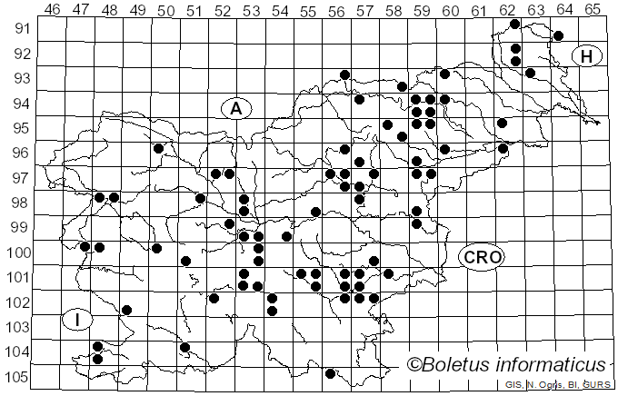 <i>Lactarius serifluus</i> (DC.) Fr. (1838)