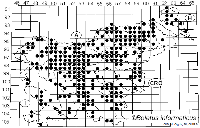 <i>Albatrellus</i> Gray (1821)
