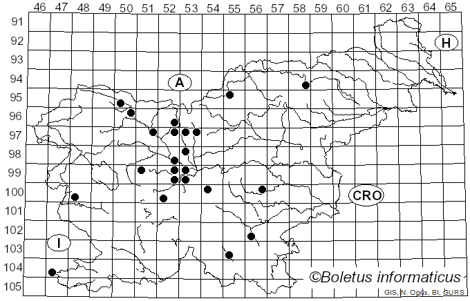 <i>Phyllosticta</i> Pers. (1818)
