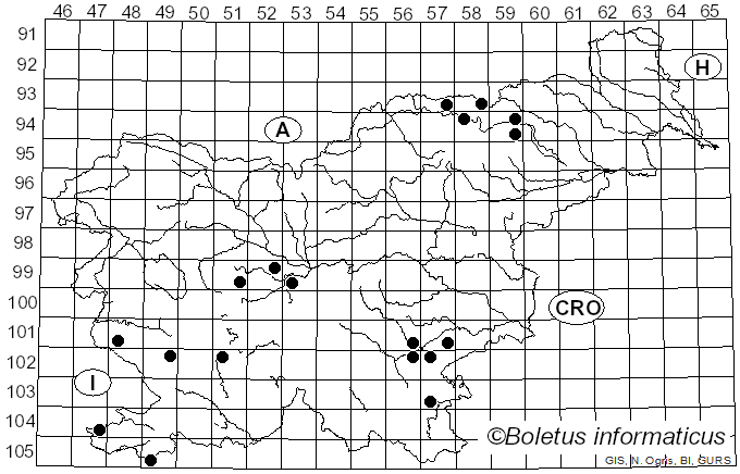 <i>Pisolithus arhizus</i> (Scop.) Rauschert (1959)