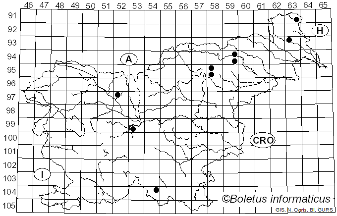<i>Cortinarius subviolascens</i> Rob. Henry ex Nezdojm. (1983)