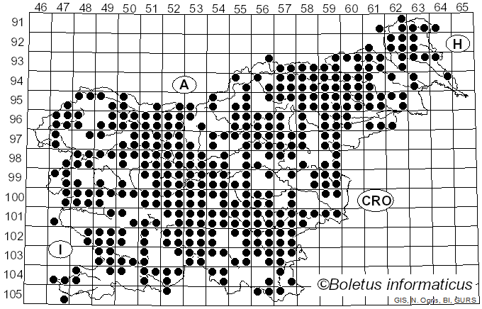 <i>Clitocybe</i> (Fr.) Staude (1857)
