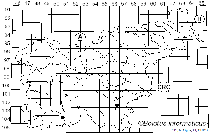 <i>Tricholoma sudum</i> (Fr.) Quél. (1873)