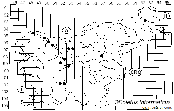 <i>Microsphaera trifolii</i> (Grev.) U. Braun (1981)