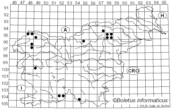 <i>Mycoblastus sanguinarius</i> f. <i>sanguinarius</i> (L.) Norman (1926)