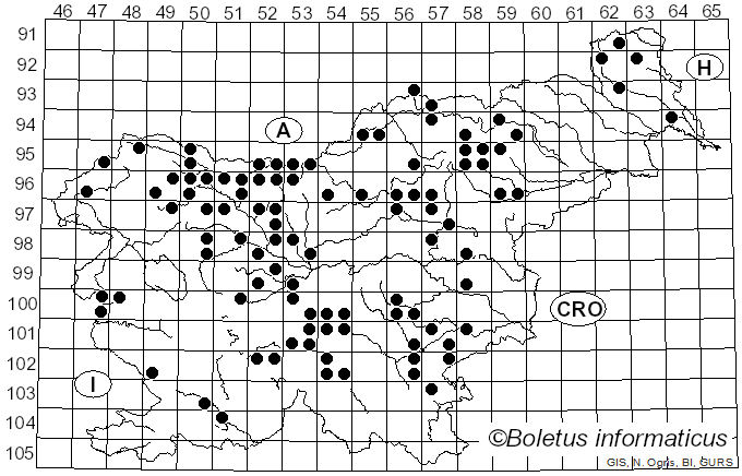 <i>Gomphus clavatus</i> (Pers.) Gray (1821)