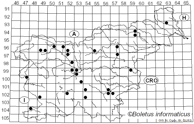 <i>Hygrocybe persistens</i> var. <i>konradii</i> (R. Haller Aar.) Boertm. (1995)