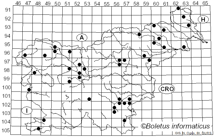 <i>Peziza varia</i> (Hedw.) Fr. (1822)