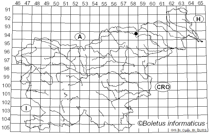 <i>Postia balsamea</i> (Peck) Jülich (1982)