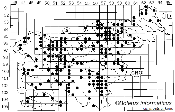 <i>Chalciporus</i> Bataille (1908)
