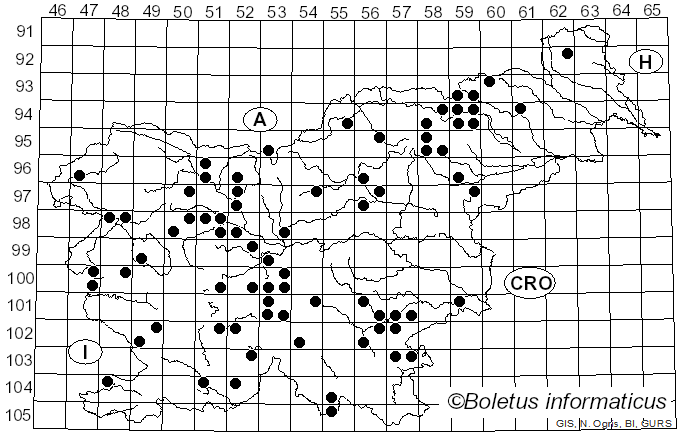 <i>Tricholoma bufonium</i> (Pers.) Gillet (1874)