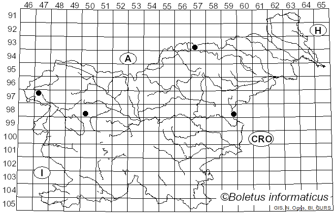 <i>Tricholoma filamentosum</i> (Alessio) Alessio (1988)
