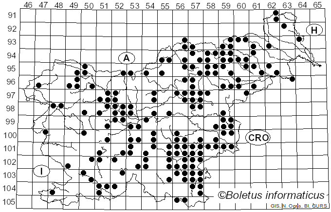 <i>Russula romellii</i> Maire (1910)