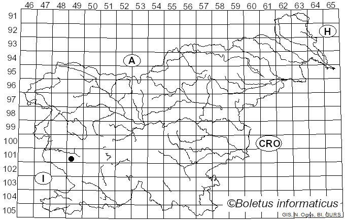 <i>Peniophora meridionalis</i> Boidin (1958)