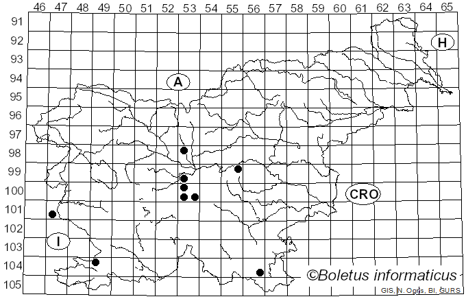 <i>Trichia scabra</i> Rostaf. (1875)
