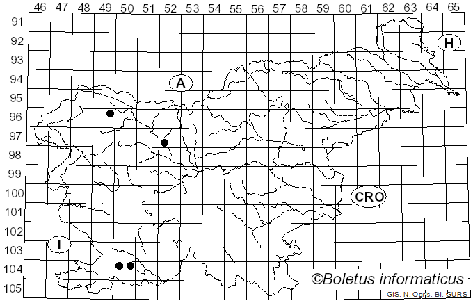 <i>Saccobolus</i> Boud. (1869)
