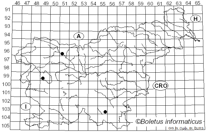 <i>Oxyporus corticola</i> (Fr.) Ryvarden (1972)