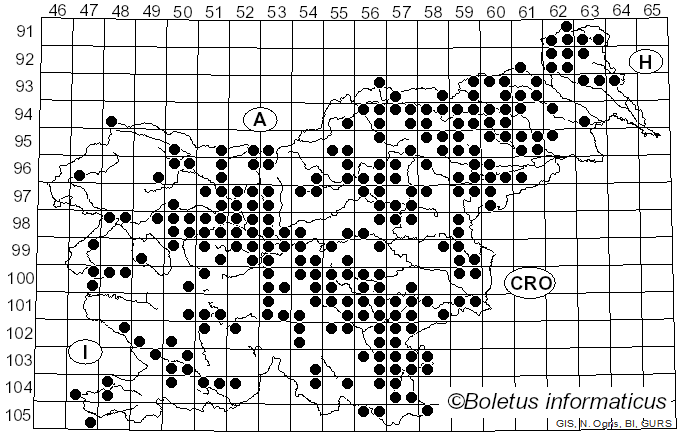 <i>Fomitopsis betulina</i> (Bull.) B.K. Cui, M.L. Han & Y.C. Dai (2016)