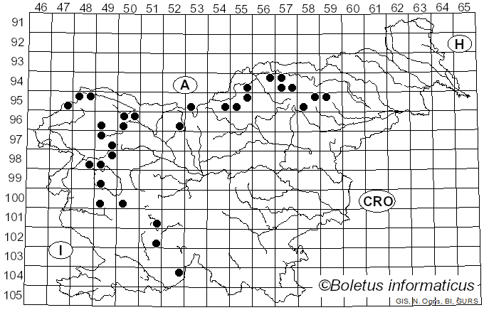 <i>Parmelia glabra</i> (Schaer.) Nyl. (1872)