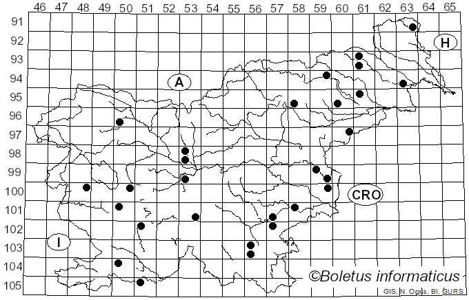 <i>Trichaptum fuscoviolaceum</i> (Ehrenb.) Ryvarden (1972)