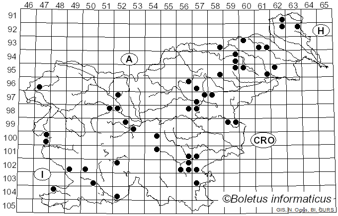 <i>Leucocoprinus cretaceus</i> (Bull.) Locq. (1945)