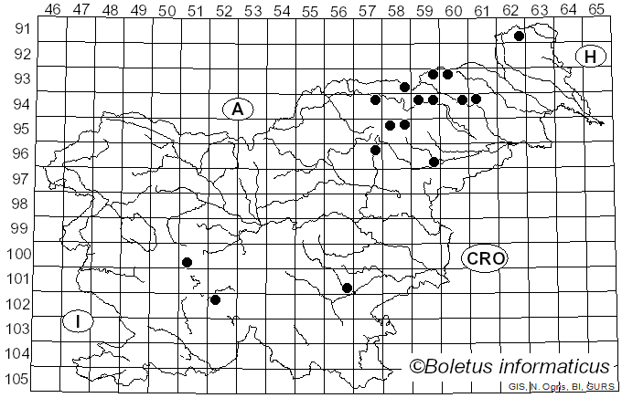 <i>Hydnellum cumulatum</i> K.A. Harrison (1964)