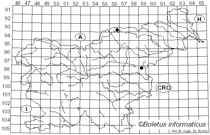<i>Nothophaeocryptopus gaeumannii</i> (T. Rohde) Videira, C. Nakash., U. Braun & Crous (2017)