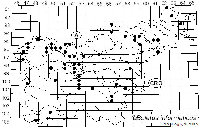 <i>Rutstroemia</i> P. Karst. (1871)