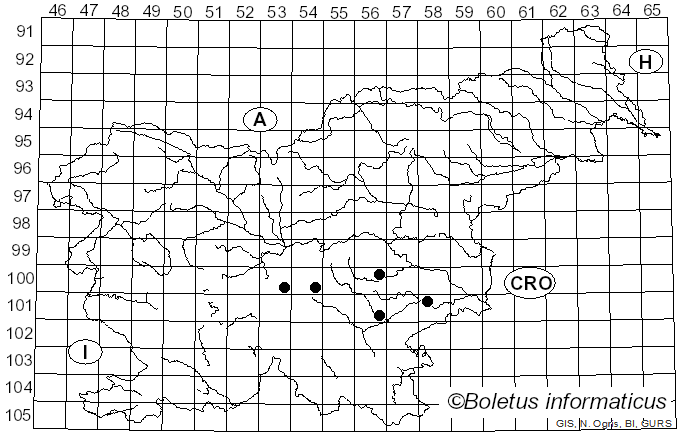 <i>Mycena flavescens</i> Velen. (1920)