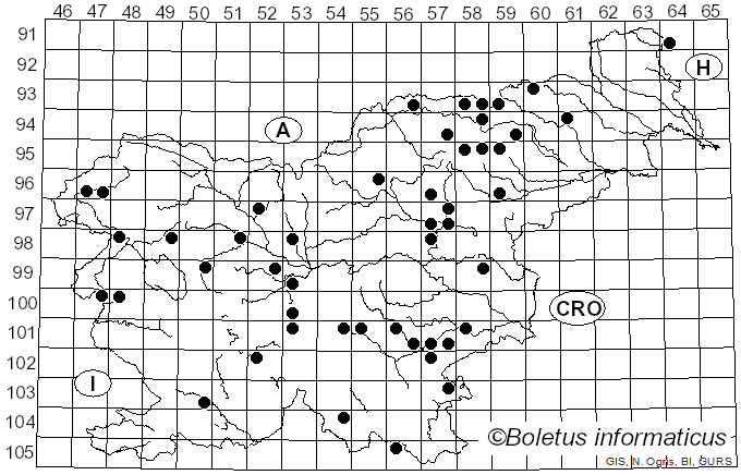 <i>Russula anthracina</i> Romagn. (1962)