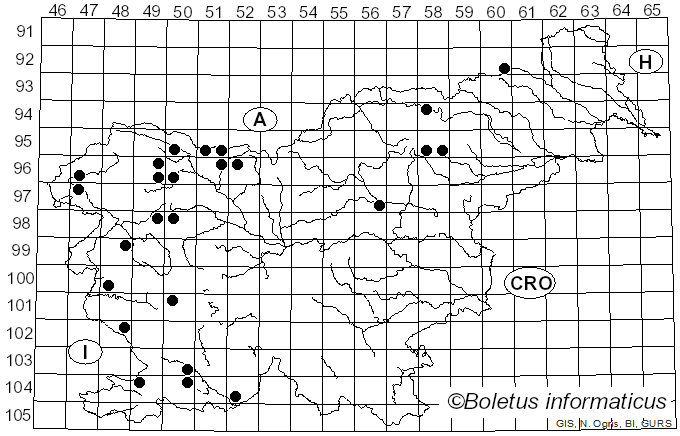 <i>Protostropharia</i> Redhead, Moncalvo & Vilgalys (2013)