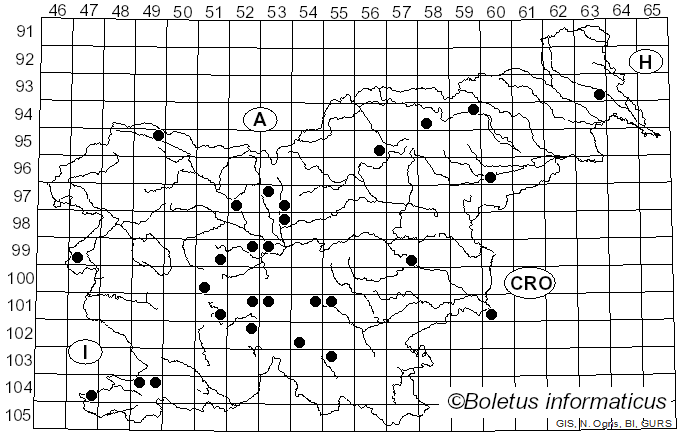 <i>Fusarium</i> Link (1809)