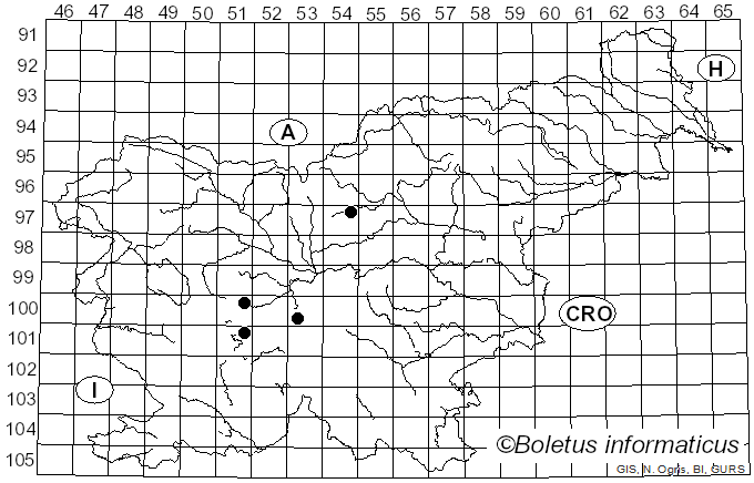 <i>Cheilosia albitarsis</i> Meigen (1822)